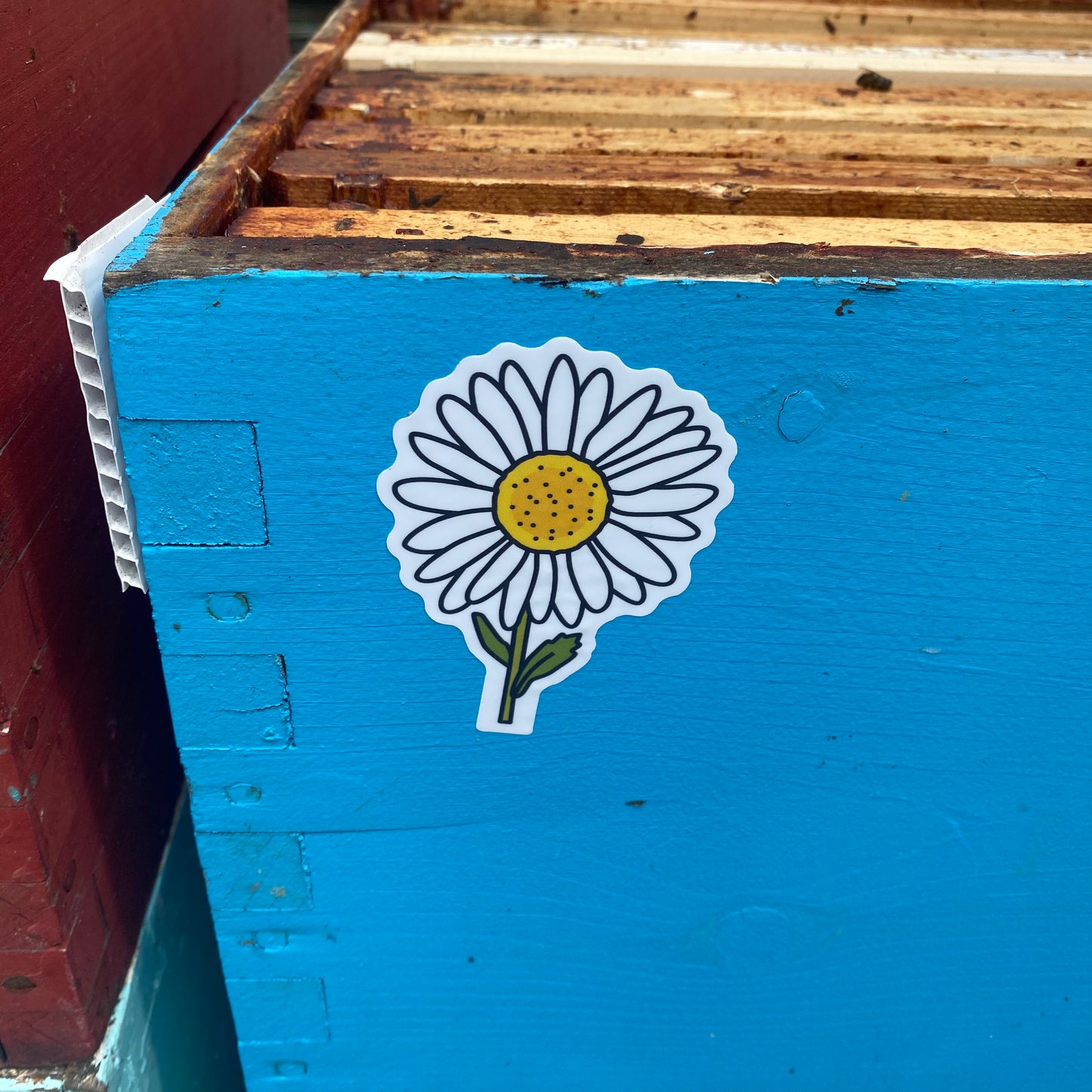 Daisy With Stem Sticker