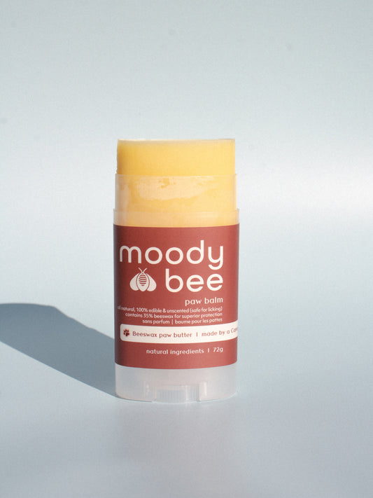 beeswax paw balm 🐾  safe for licking - large