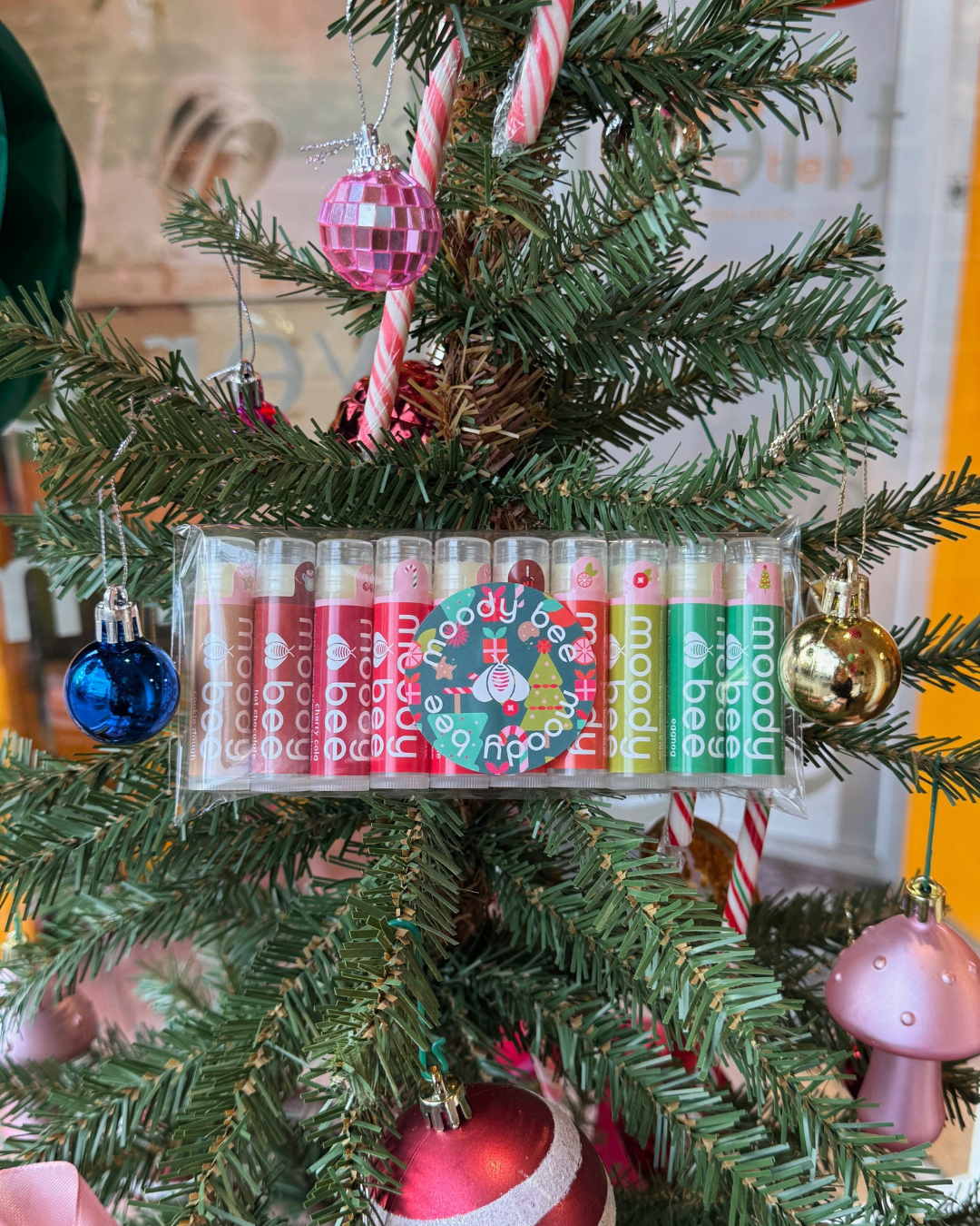 surprise seasonal 10 pack 🎄🎅 - save 30% today only