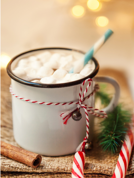 hot chocolate with marshmallows