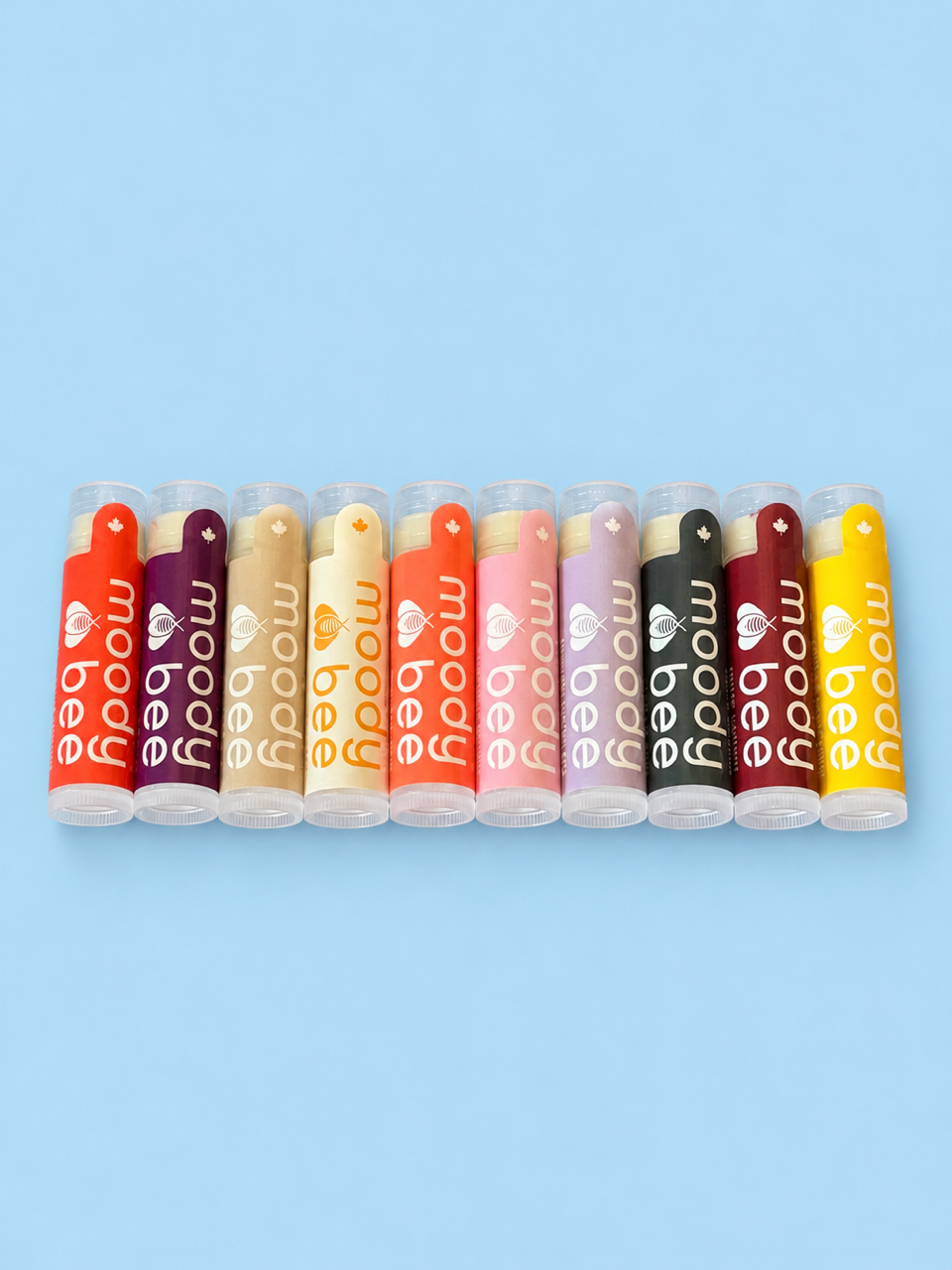 staff faves 10 pack - 20% off